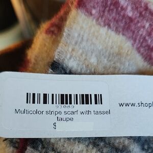 Multicolor Stripe Scarf with Tassel